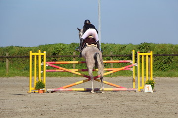 Saut d'obstacle lors d'un concours hippique