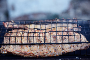 meat on the grill BBQ grilled rib