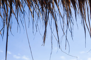 close up dried nipa leaves roof with clear blue sky backdrop