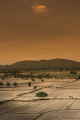 Fototapeta na wymiar Global warming, died and cracked soil in arid season,View of the desert field
