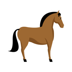 virus trojan system data internet program vector illustration