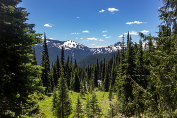 Snowy peaks 