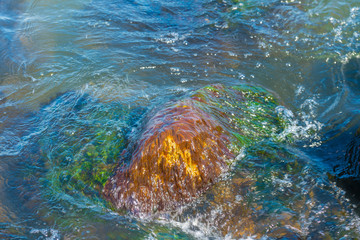 Ripples around a mossy stone in a lake