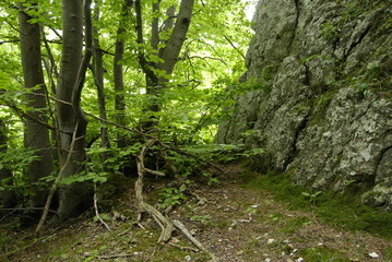 Ojcowski Park Narodowy.