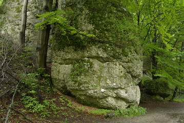 Ojcowski Park Narodowy.