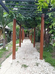 Fototapeta premium Arachway in the garden.