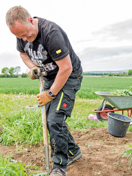 Mann bei der Gartenarbeit mit einer Schaufel