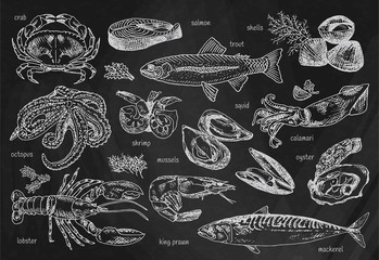 seafood menu, octopus, mussels, lobster, trout, shells, mackerel, crab, oyster, king prawns, shrimps, squid, salmon, calamari on chalkboard background - 152599313