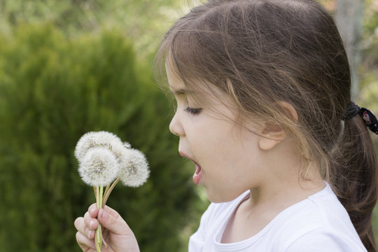 Little cute girl blowing dandelions. Green background. Closeup.