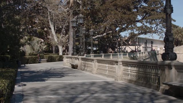 Sunny park by the seafront  