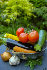 Fresh various vegetables for garnish, soups, gastronomic dishes