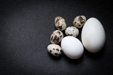 goose, chicken and quail eggs