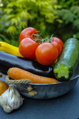 Fresh various vegetables for garnish, soups, gastronomic dishes