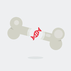  Bone vector illustration