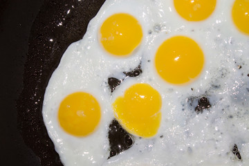 quail eggs fried in a pan