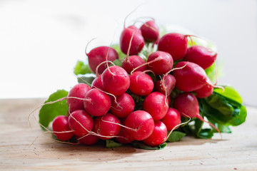 Fresh ingredients for healthy salad – red radish and green lettuce