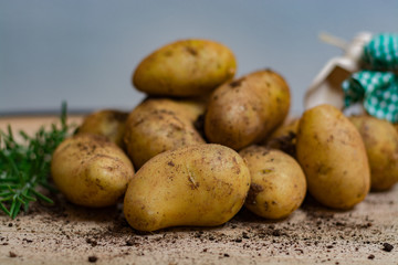 New harvest - young raw potatoes uncooked