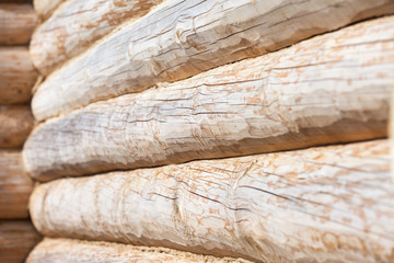 Log house wall, close-up, background.