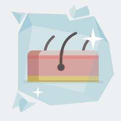 Skin vector illustration