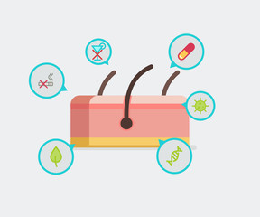Skin vector illustration