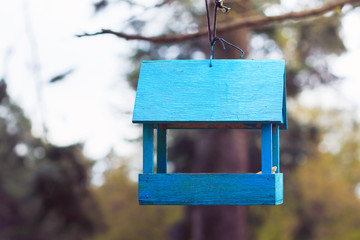 Blue color feeding trough for birds on a tree wooden feeder