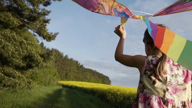 Sunset shot of cute teenager girl wears dress plays with flying kite, runing along forest and flower field line, 120FPS slowmotion