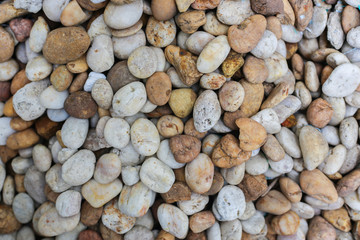 gravel