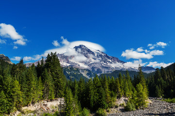 Fototapeta premium Mt.Rainier