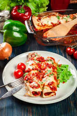 Traditional mexican enchiladas with chicken meat, spicy tomato sauce and cheese on a plate