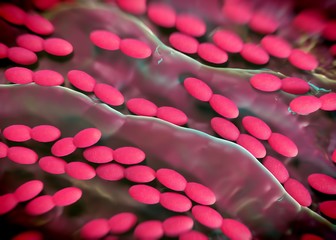 3d rendering - acetobacter bacteria
