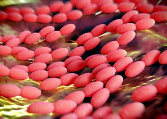 3d rendering - acetobacter bacteria