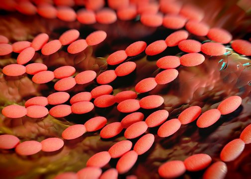 3d rendering - acetobacter bacteria