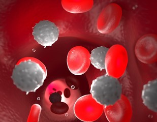 3d rendering - human blood stream