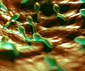 3d rendering - clostridium tetani bacterium