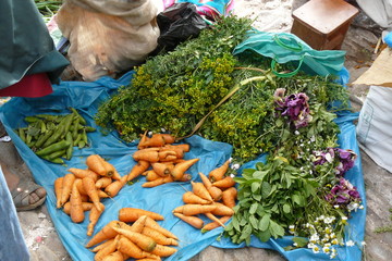 vegetales frescos