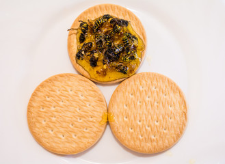 Biscuits smeared with honey. The honey bee is stuck.
