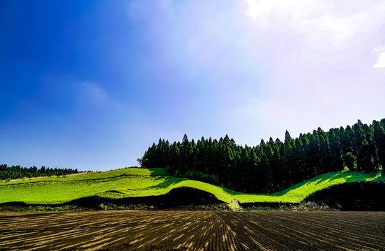 波野村　開拓地