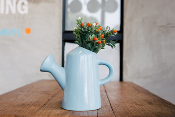 Watering plant pot and flower over
