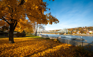 Goldener Herbst, Blaues Wunder in Dresden - 152626751