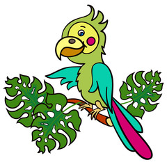 parrot on a branch3-01