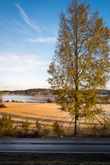 Landscape with fall colors and lake at autumn morning in Finland