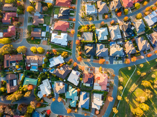 Aerial view of a typical suburb in Australia - obrazy, fototapety, plakaty
