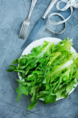 rucola