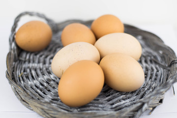 Fresh eggs