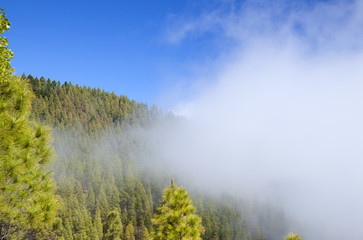 Gran Canaria, central area