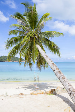 Beautiful tropical beach, palm tree and sea water in island Koh Phangan , Thailand