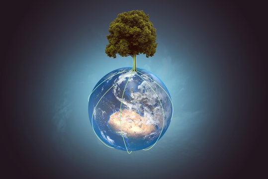 Baum wächst auf Globus