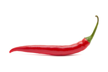  hot chili pepper