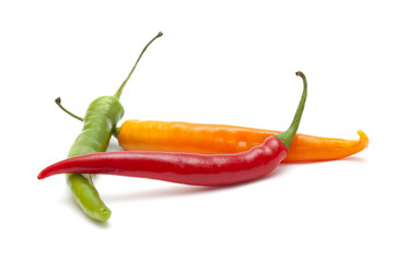 hot chili pepper