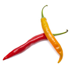 hot chili pepper